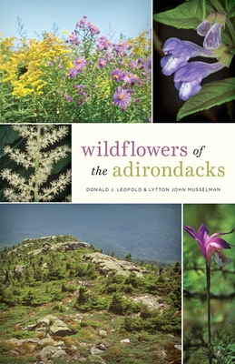 Adirondack Attractions: A Guide to Nature's Wonders and Thrilling Outdoor Adventures