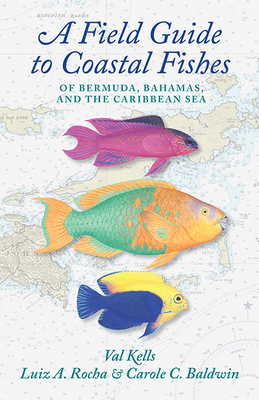  Discover the Fascinating World of Little Amazon Fish: A Guide to Care, Breeding, and Habitat