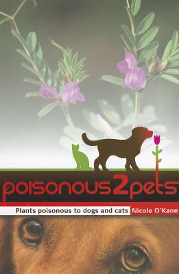 Are Orchids Poisonous to Pets? Discover the Truth Behind These Beautiful Plants