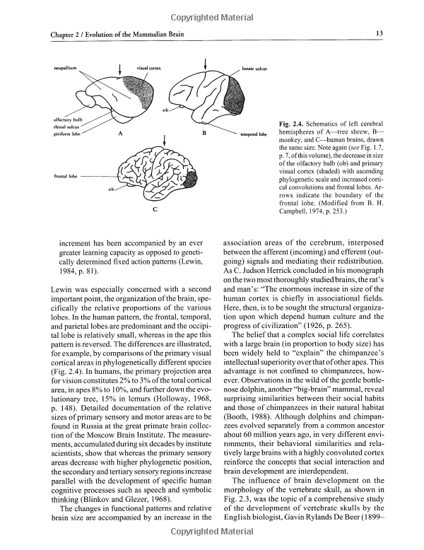 Understanding the Definition of PET Scan in Psychology: Unveiling the Mysteries of the Human Brain