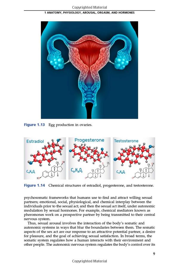  Effective Strategies on How to Attract Females Sexually: A Comprehensive Guide