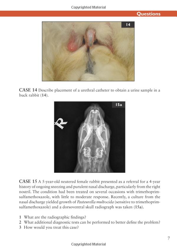 ### PET Scan Radioactive Glucose: Unlocking the Secrets of Your Body's Metabolism