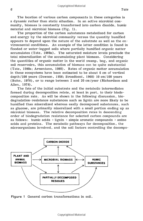  Understanding the Consequences of Defaulting on Loans: A Comprehensive Guide