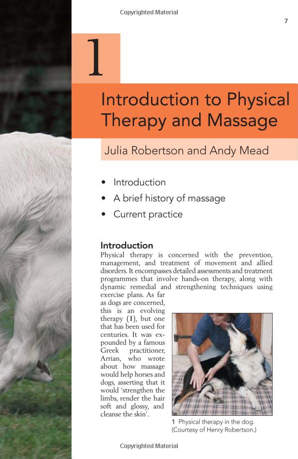  Comprehensive Guide to the Treatment of Pets: Ensuring Their Health and Happiness