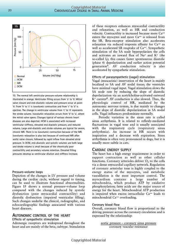 Understanding the Intricacies of Cardiac PET Scan Interpretation: A Comprehensive Guide