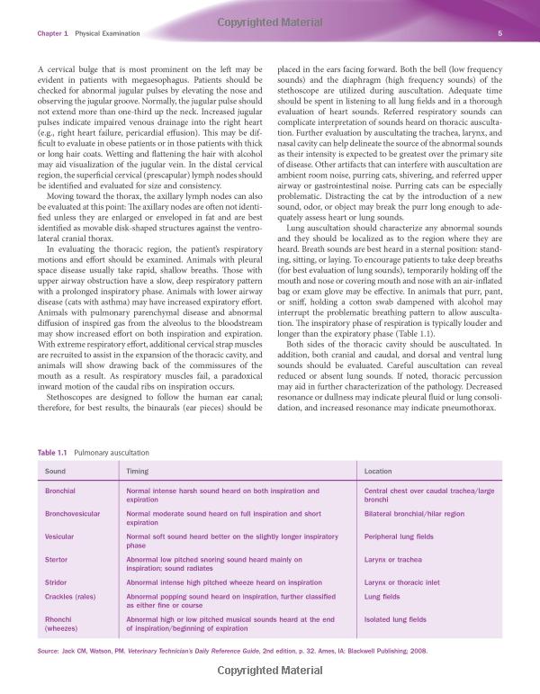  A Comprehensive Guide on How to Read a PET Scan: Understanding the Basics and Advanced Techniques