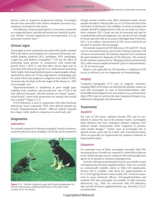 Unlock the Benefits of Pet Insurance to Cover Neutering: A Comprehensive Guide