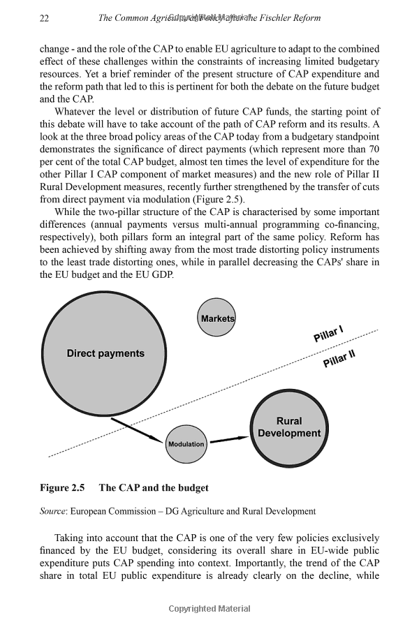  Understanding the Impact of the Federal Loan Pause on Student Borrowers and the Future of Student Debt Relief