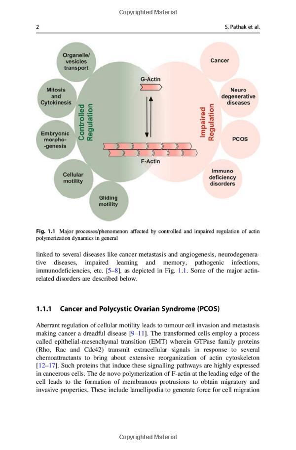  Exploring the Dynamic Partnership of Alliance Patti and Peter: A Comprehensive Analysis